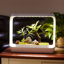 Creative desktop micro-landscape ecological bottle Land and water tank goldfish tank Living room small circulating water plant landscaping package