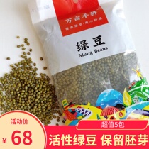 Wan Mu Fenggeng Active Sprouted Mung Bean sprouted mung Bean Sprout Mung Bean Soup Healthy Coarse Grain Northeast