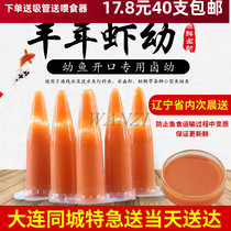 Fengnian shrimp halogenated young Frozen Fengnian shrimp larvae free from hatching Fengnian shrimp eggs migratory water jellyfish Peacock tiger seedling opening