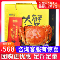 (Gift certificate) Zhenxianzi hairy crab 4888 type crab coupon delivery card male 4 5 two Mother 3 5 two 8 crabs a total of 8 crabs