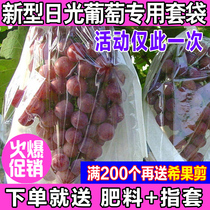 Grape Exclusive Bagging Fruit Bag Translucent Lotus Grape Smart Paper Bag Grape Set Bag Anti Bird Bug Bag