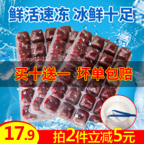Frozen red insect frozen frozen plump prawn red insect fish food hexagonal dinosaur tropical fish guppies Fish Fish