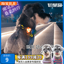Laroo Leno night pet walking dog Light Anti-Lost Light Schnauzer dog luminous hanging collar pendant luminous