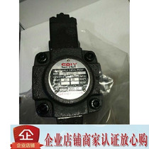 VPE-F40D-10VPE-F40B-10VPE-F40A-10VPE-F40C-10 oil pump Taiwan