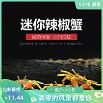 Pet crab fresh water mini crab chili crab ornamental crab live eat insects to remove food residue and algae