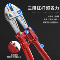 Germany imported Delixi steel shear shear lock wire iron wire pliers vigorously destroy the eagle mouth scissors scissors province