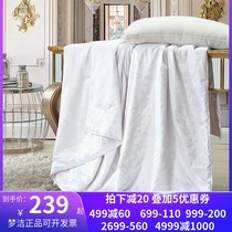 Mengjie silk quilt big jacquard silk quilt double summer quilt quilt spring quilt 248 two in one child mother quilt