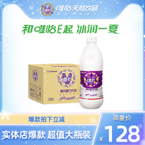 Wei Yi large bottle drink Walnut peanut is more fragrant than soy milk Plant protein drink rich in nuts 960ml*12