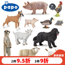 PAPO sheep baby piglet domestic dog Rooster duck dog kangaroo squirrel koala snake wolf spider Eagle