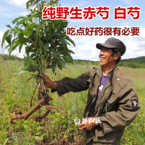 New products in the pure wild red peony root selection content tall coarse white peony tablets 250g