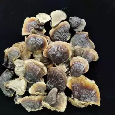 Hualong ginseng antler Bird's Nest Changbai Mountain wild small Ganoderma lucidum 68 yuan a catty 30 years physical store welcome