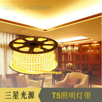 High-end chip 220V double row light with led super bright living room ceiling decoration home T5 lighting strip light strip