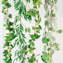 Simulation green leaf rattan Ivy ceiling decoration green vine wall pipe climbing vine plant fake flower vine leaves