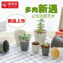 Alice home desktop meat plant simple flowerpot fleshy flower plant plastic mini flowerpot