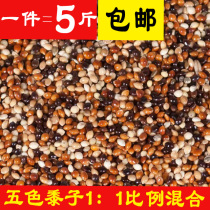 Pigeon grain parrot mixed grain 5 color mixed millet millet small parrot bird feed tiger skin Xuanfeng peony