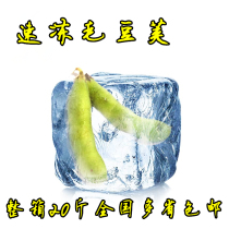 Quick-frozen wool pods in a full box of 20kg fresh bean pods with shells and yellow pods. Farmers grow fresh and many provinces