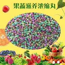 Do beautiful parrot with bird food Parrot concentrated VC nourishing pill Parrot feed Parrot food 100g