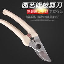 Alice 130DX scissors pruning shears household 120DX repair flower imported forest fruit tree rough shears labor saving gardening