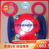 Amico LXLGR-E 070 cast iron detachable screw wing dry flange hot water meter bathroom sauna dedicated