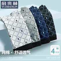 Underpants mens cotton breathable modal crotch 2021 New Youth shorts head cotton boxer boxers