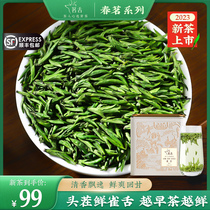 2023 New Tea Ming forehead of green tea Emei bamboo spring tea special hair - pointed bud tea spot is developed