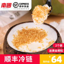 South China Coconut Jelly 2 Clothing Fresh Hainan Special Golden Coconut Coconut Palm Putin coconut Coconut Milk Frozen Coconut Jelly