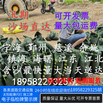 Zhejiang flood control sandbags special sandbags plugging fire bags property factory flood sandbags canvas belt sand