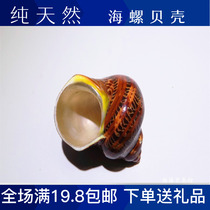 Full 19 8 Ancient Venus Snail Fish Tank Rolls Berfish Sustena Crab Spare Replacement Shell Natural Great Sea Snail Shells