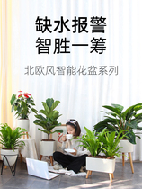 Sloth Flower Pot Automatic Water Suction Creative God Instrumental GREEN OLE TOMATO NORDIC WIND PLASTIC INS FLOWER POT FAMILY BALCONY