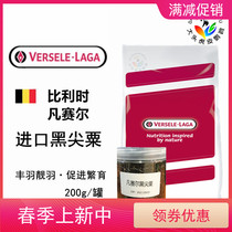 Import Belgian Versailles Black spire parrot birds Food plums bright plums for new products 200g