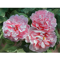 Xue Shoubin < rich and expensive flower opening > Living room decoration painting realistic peony flower oil painting