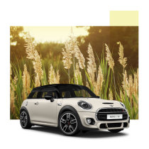 (Repurchase and replacement) MINI models repurchase replacement deposit courtesy