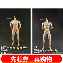 COOMODEL B34003 standard muscle male body and B34004 increased muscle male body spot