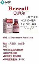 bei ni er focal worm needle