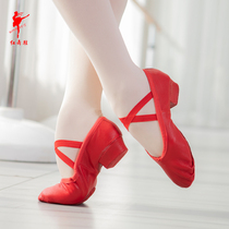 Red dance shoes dance shoes womens soft bottom middle heel ethnic belt heel teacher special shoes canvas professional body training shoes