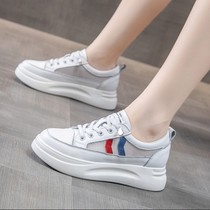 Customized new summer mesh breathable long legs high and low shoe single only increase stealth repair high correction girls casual shoes