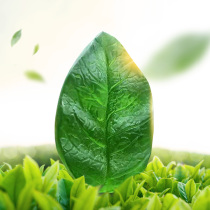 Wuyishan water Camellia skin-friendly handmade soap Pure natural Camellia oil High-quality Camellia essence nourishment 85gx1 box