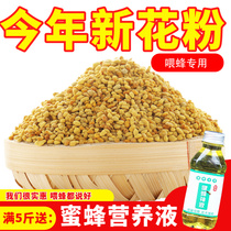 Pollen feeding bees new powder fresh natural rapeseed Miscellaneous powder Bee grain special feed for bees in 500g