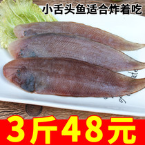 3 catties of fresh small dragon fish seafood tongue fish tongue sole rice fish sole wild beef tongue deep-fried