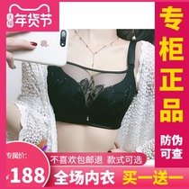 Muse Angel Underwear New Peacock Queen Princess Thoracic Bracing Milk Set Adjustment Set Twilight