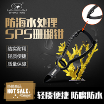 Australian octopus House coral sps anti-seawater scissors fish tank tool scissors tweezers coral tongs landscape corrosion prevention