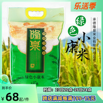 Longquan Green Xiaokang rice 10kg When the season is new rice grain rice grain rice Hebei Chengde production