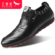 Red dragonfly mens shoes spring 2021 new mens casual shoes Korean version of the trend shoes genuine leather sports shoes mens trend