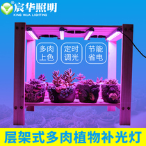 LED plant growth full spectrum coloring anti-dart household vegetables imitation sunlight flower layer shelf multi-meat filling light