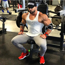 Fitness Net red Andre with VQ fitness training breathable sweat iron bodybuilding leisure elastic slim vest