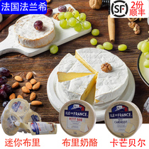 French Brie Cheese Brie Cheese Small Golden Cheese French Blue Textured Cheese Soft Children Cheese