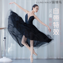 Adult Teacher Ballet Dancer Dress Halfbody Dress Modern Dance Classical Dance Out of Womens Dress Skirt Flutter