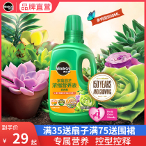 Melody succulent plant fertilizer meat special nutrient solution flower potted plant concentrated liquid foliar fertilizer