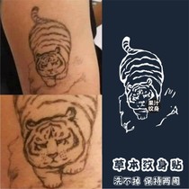 Tigers Downhill Juice Tattoo Stick Cute Cute Arm Hands Back Patch Waterproof Persistent Personality Tiger Men and Men