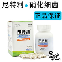 Nitri nitrifying bacteria fish tank Microbial capsule Nitrifying bacteria aquarium culture bacteria water purification enhanced type